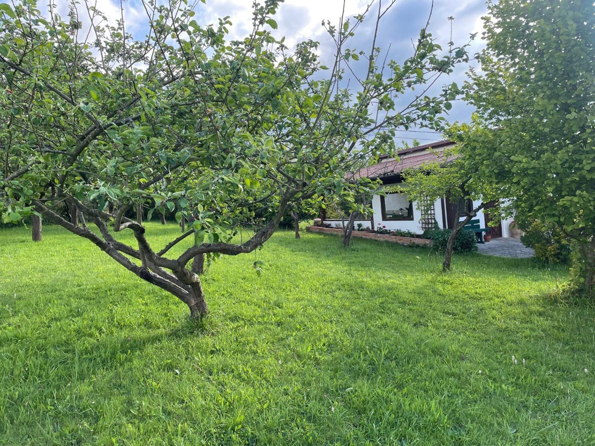 Casa Benjamin Villa Oviedo Exterior photo